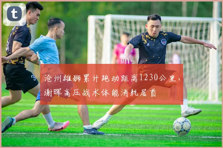 沧州雄狮累计跑动距离1230公里,谢晖高压战术体能消耗居首